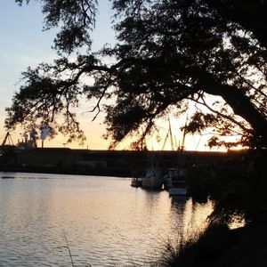 Meet your Posher, Rita